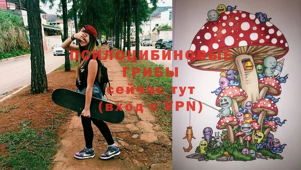 соль ск Белокуриха