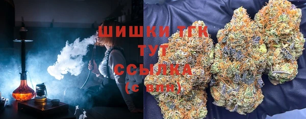 соль ск Белокуриха