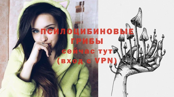 ПСИЛОЦИБИНОВЫЕ ГРИБЫ Снежинск