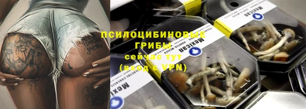 прущие крисы Белоозёрский